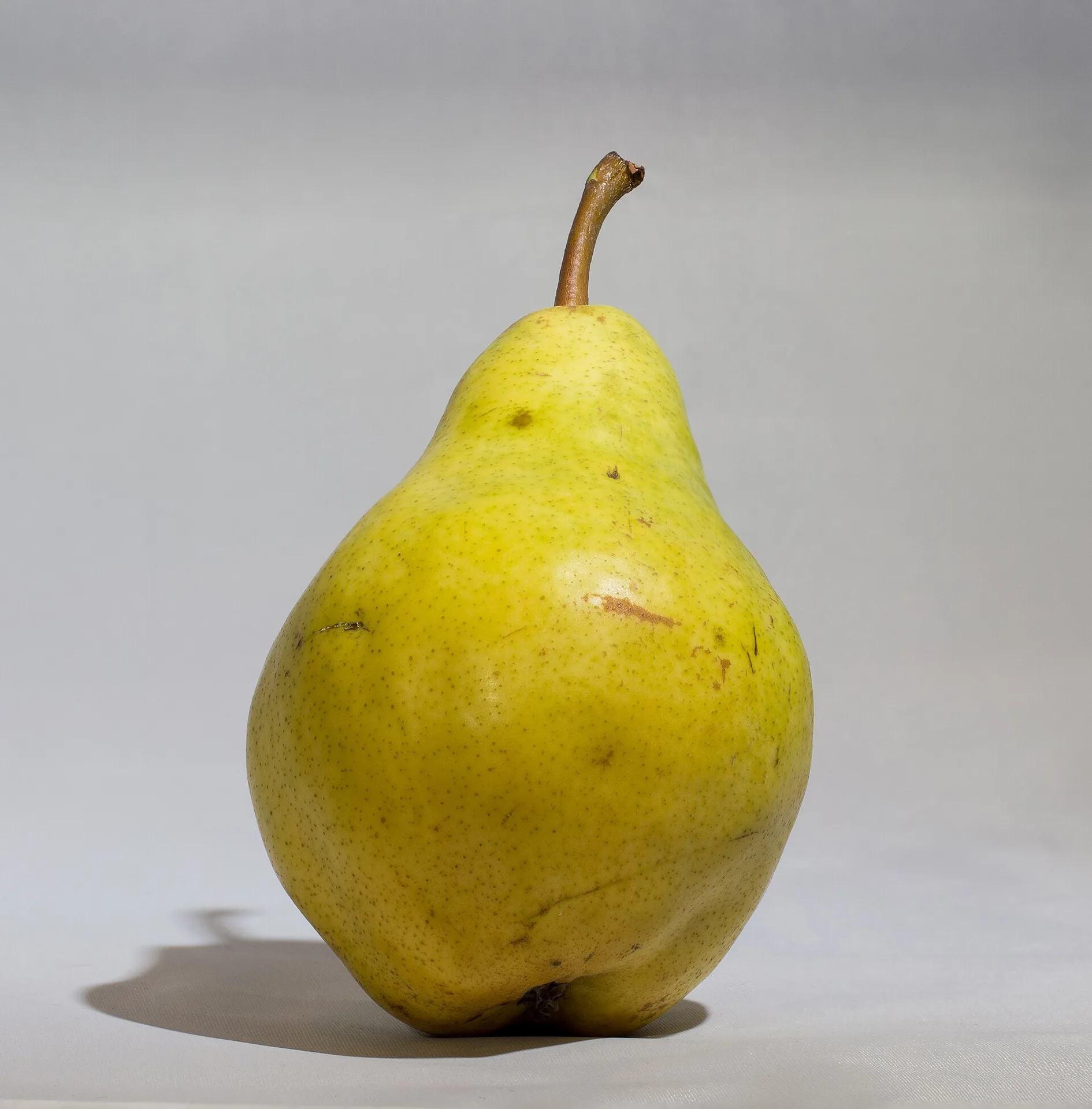 One ripe pear