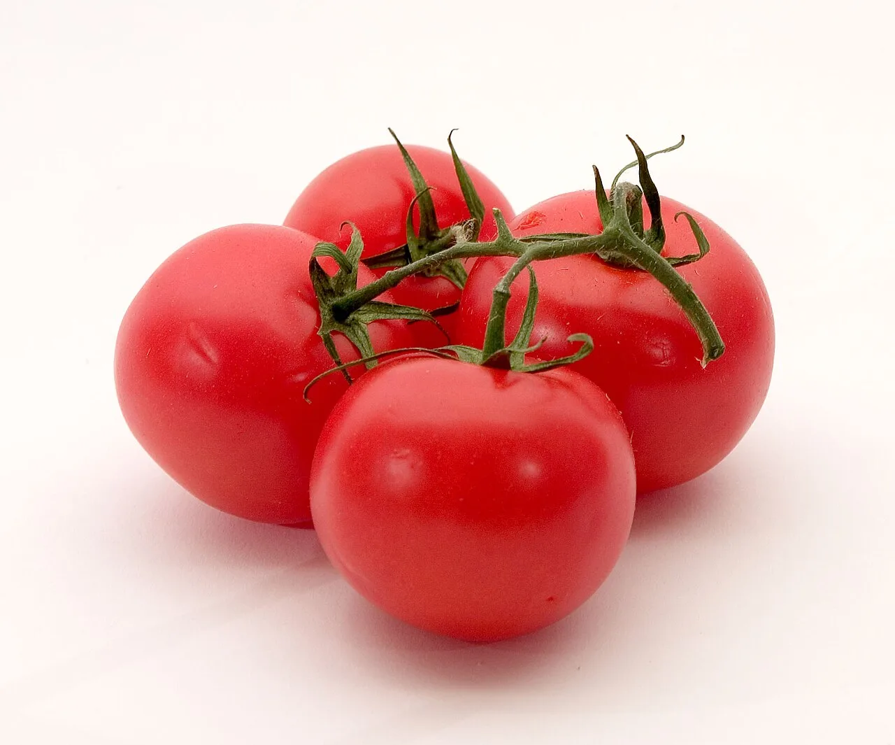 Four ripe red tomatoes on the vine against a light background